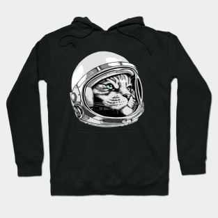 Space Kitty Cat Hoodie